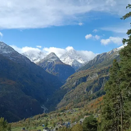 Tomidicarta Trasquera