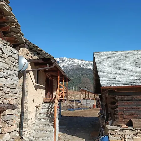 Tomidicarta * Trasquera