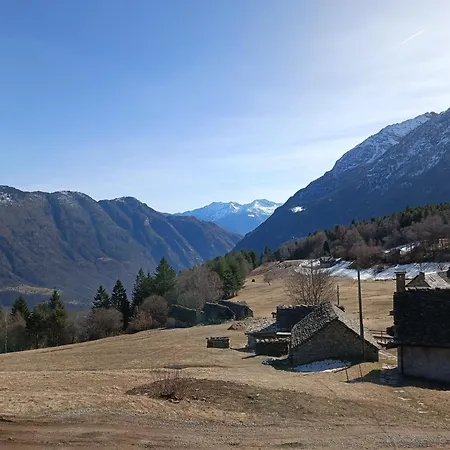 Шале Tomidicarta