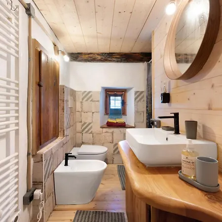 Tomidicarta Trasquera