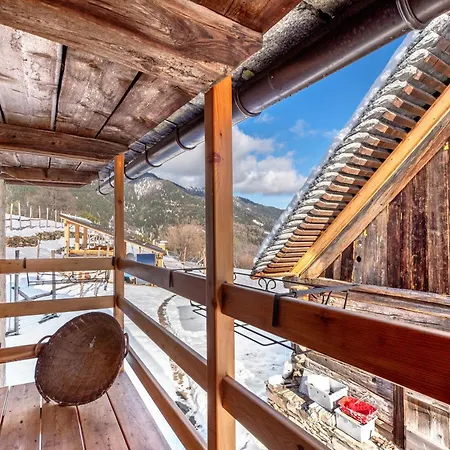 Tomidicarta Trasquera