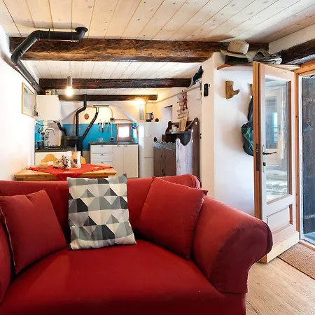 Tomidicarta Trasquera